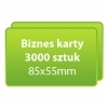 Biznes karty zaokrąglone rogi 3000 sztuk